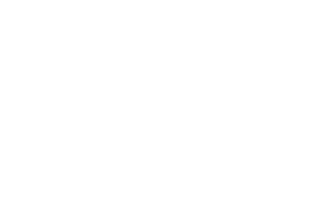 Conector Strix®