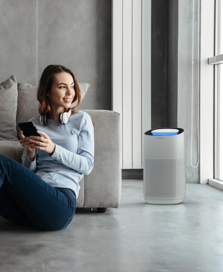 How does the air purifier work the principle of air purifier AENO