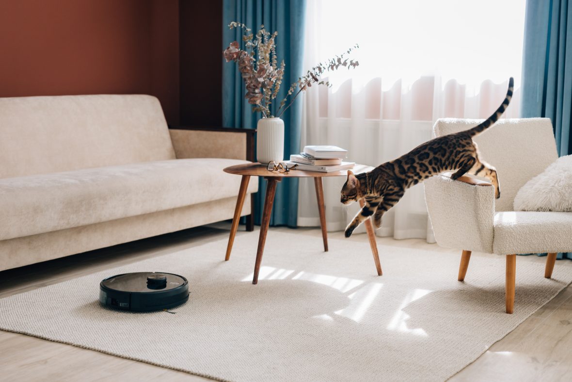 How often should you wash your carpets AENO Blog