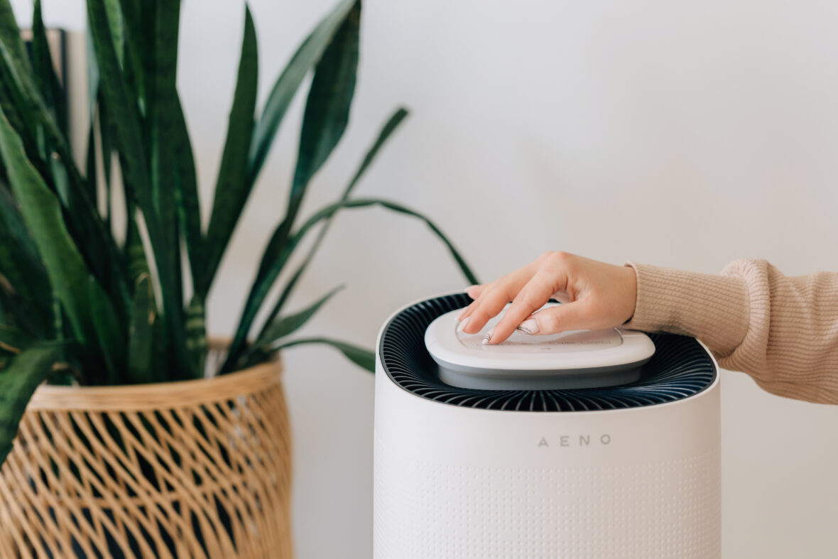 Humidifier or air purifier difference between air purifier and