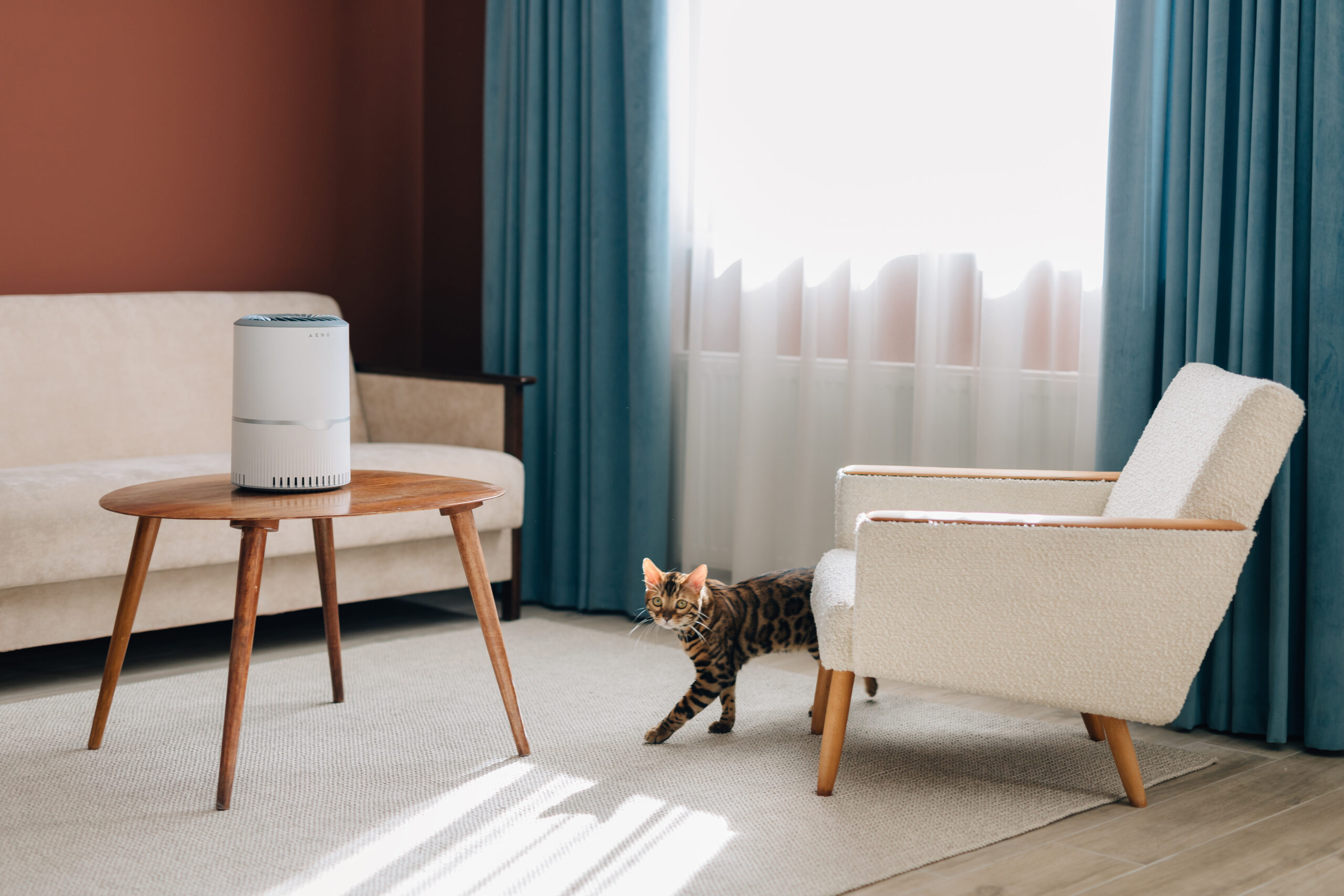 How does an air ionizer work air ionizer working principle AENO Blog