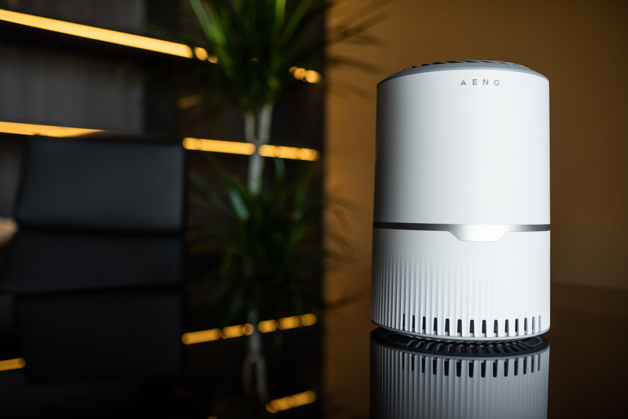 How does an air ionizer work air ionizer working principle AENO Blog